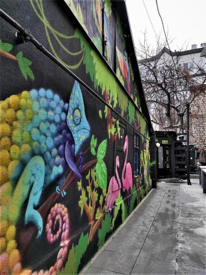 Bern Hostel 基希讷乌 外观 照片